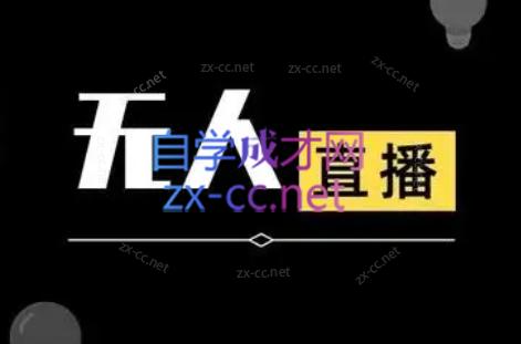 宝子哥·无人直播-非实时防风技术(更新5月)-hl998