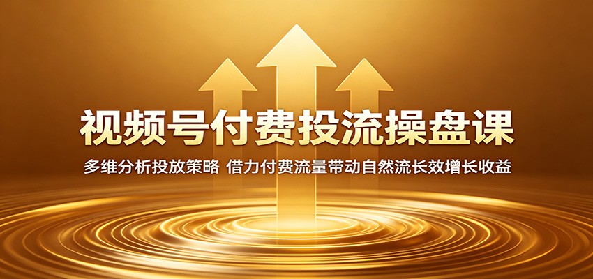 视频号付费投流操盘课:多维分析投放策略,借力付费流量带动自然流长效增长收益-hl998